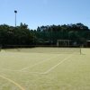 Campo da tennis su erba sintetica, circondato da reti e alberi.