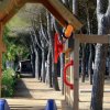 Parco giochi in legno tra gli alberi.