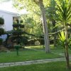 Giardini con alberi e moderne architetture pastello.