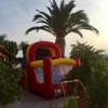 Un gonfiabile colorato davanti a una palma, circondato da piante in vaso.